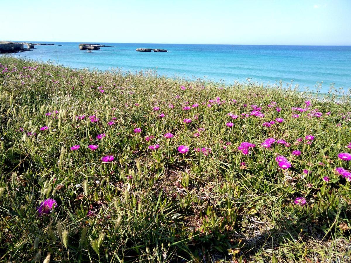Li Perrini Boutique B&B Acquarica Εξωτερικό φωτογραφία